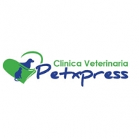 Cliente 2